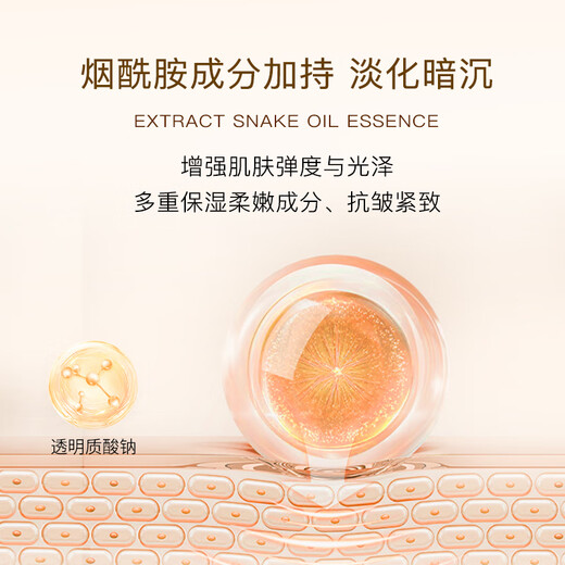 FreeSkin Collagen Vitamin C Water Rejuvenating Hand Cream Moisturizing and Softening Hand Care Fragrance