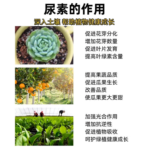 Stanley outlets direct sales of urea fertilizer for agriculture 10-100 Jin Jin equals 0.5 kg, general organic fertilizer for vegetables, fruit trees and flowers, household chemical fertilizer, large granular urea 20 Jin Jin equal to 0.5 kg, subcontracted delivery