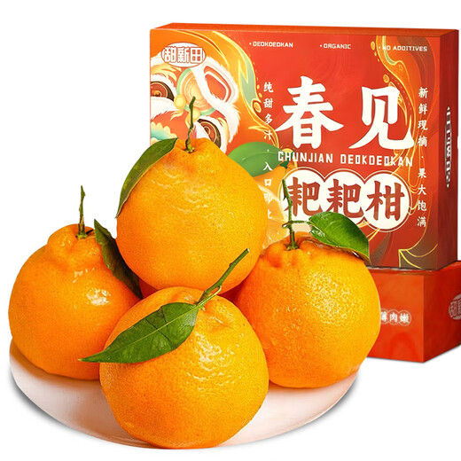 Uncle Sam Sichuan Chunjian Raking Mandarin Flash Delivery Papa Mandarin Orange Ugly Orange Fresh Fruit Gift Box New Year Gift Platinum Grade Selected Fruit Single Fruit 85mm+ 5 Jin Jin equals 0.5 kg 80% selection - great deal Net 4.5 Jin Jin equals 0.5 kg