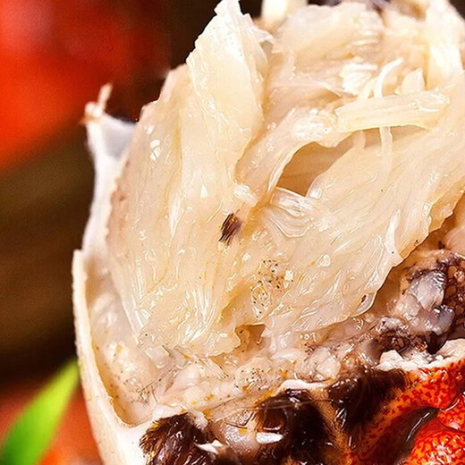 Live crab Jinshang hairy crab fresh crab gift box male 4.2-4.5 two female 3.0-3.3 two 4 pairs 8 pieces exquisite gift box gift without rope full weight