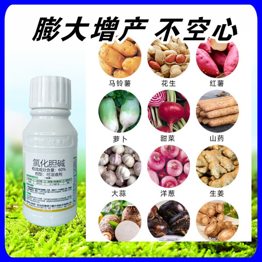 Choline chloride, garlic, ginger, onion, sweet potato, potato, peanut, medicinal underground rhizome expansion hormone regulator, 10kg, 20 bottles (500g/bottle)