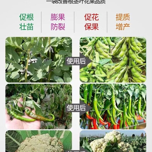 Genuine Agricultural Potassium Nitrate for Vegetables, Flowers, Fruit Trees, Wheat, General High Nitrogen and High Potassium Fertilizer to Increase Production, Foliar Fertilizer Genuine One Jin Jin is equal to 0.5 kg Bulk Sample Authenticity Guaranteed