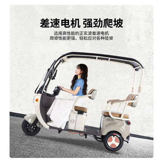 Phoenix Fengya electric tricycle household electric motorcycle adult electric vehicle small tricycle electric vehicle with shed Chaowei battery 800W power model + 60V20A lead-acid + battery life of about 42.5 kilometers