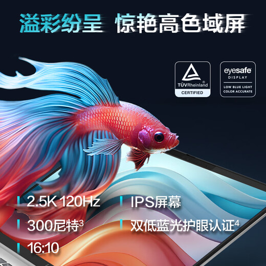 HP Star Book Pro14 Laptop 2025 Core Ai Neues Produkt Optionale nationale Subvention High-End-Metall-Business-Office-Studenten dünner und leichter Laptop Ultra5-125H 16G 1T 2,5K Silber 1 TB Hochgeschwindigkeits-Solid-State