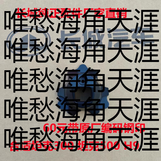 CLCEY Fenglin Iron Rider Camera Cover Protector Tank 300 Tank 500 Rear Spare Tire Camera Protection Authentic Original Black