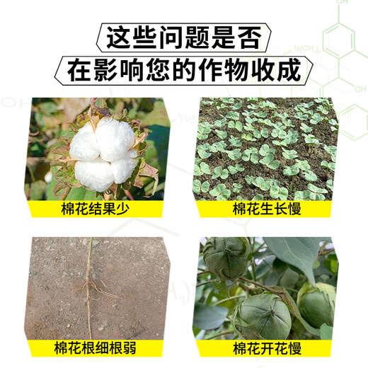 Yanzhishe Compound Sodium Nitrophenolate Growth Regulator Genuine Cotton Breaks Dormancy to Accelerate Rooting and Promote Growth Foliar Fertilizer Agricultural Materials 1 Bottle 500g Regulates Growth and Increases Production and Income