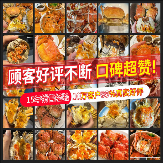 Live crabs Lake fresh Yangcheng hairy crabs whole female 3.3-3.6 pairs 8 pieces with rope feet removed fresh stock fresh aquatic products extra large crab gift seafood gift box