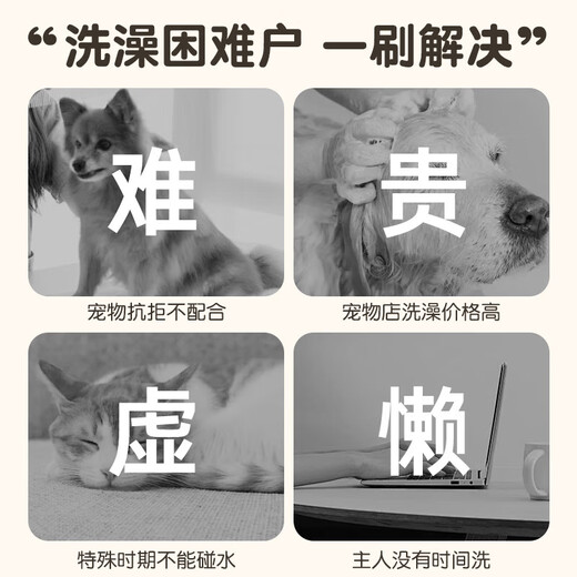 Pet electric spray comb, massage comb, anti-flying hair comb, needle comb, bath brush, cat comb, wholesale pet comb, spray + purple light (without massage) - standard version