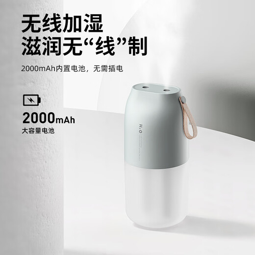 OEMG cross-border new product portable dual-spray humidifier portable desktop car usb charging large capacity air humidifier DQ116-ice green 2000 mAh