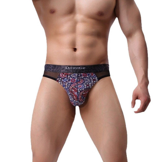 Dumi's new men's sexy low-waist floral men's underwear breathable low-waist sexy boys' thong 5406 5463 blue background printing (95 viscose 5 spandex 88 nylon 12 spandex M (suitable for around 63-74cm waist