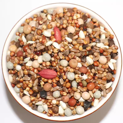 Other horticultural high-quality nutritious pigeon food, meat pigeons, ornamental pigeons, homing pigeons, racing pigeons, Yuanbao pigeons, young pigeon feed, breeding pigeons, pigeon food with corn 10 Jin Jin is equal to 0.5 kg