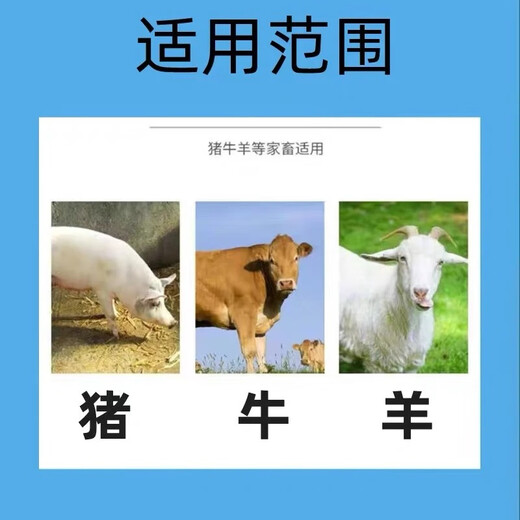 Ruixuan Zhenpin Silly Eater Feed Additive 2.5kg/barrel 5 Jin Jin equals 0.5 kg, 5000 Jin Jin equals 0.5 kg of mixing material, Silly Eat Meng Sleep Long Fatty Zhuang 3 barrels (15 Jin Jin equals 0.5 kg, 15000 Jin Jin equals 0.5 kg of mixing material)