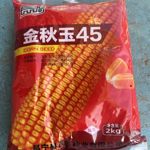 Jinqiu 45 is a high-yielding, high-yield, disease-resistant and widely suitable kilo-packed Yunnan high-yield corn variety with high quality. Jinqiu 45 is a high-yielding, high-yield, disease-resistant and widely suitable kilo-packed high-quality Yunnan high-yielding corn variety.