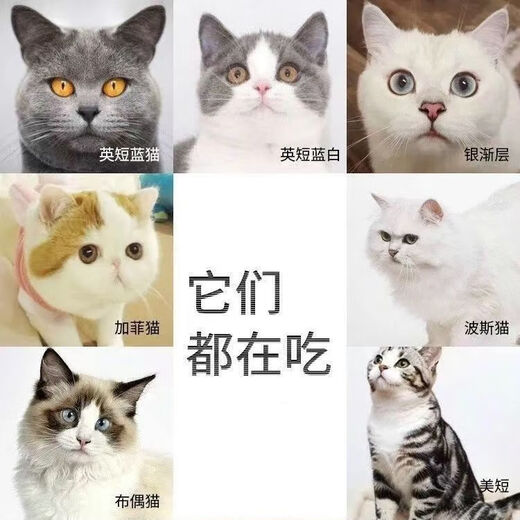 Youshi full-price cat food for kittens and adults, general fattening, hair and cheek removal, tear stain removal, blue cat British short domestic cat staple food, full-price boutique cat food (9.7Jin Jin is equal to 0.5kg large package)