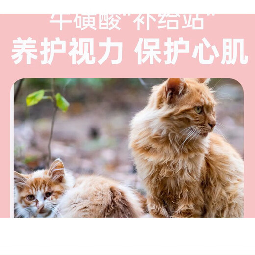 Baimanzizi Manor No. 6 20 Jin Jin is equal to 0.5 kg Stray cat rescue cat food full price adult cat food Jiangsu, Zhejiang, Shanghai and Anhui areas 10kg 10kg