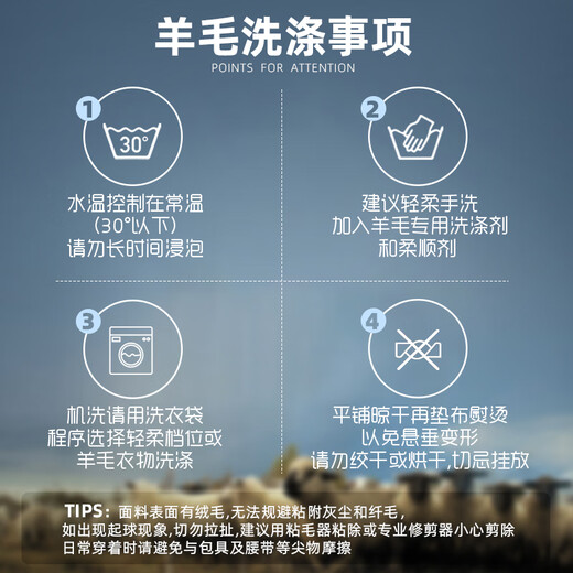 杉杉【100%羊毛】新年羊毛衫男秋冬重磅加厚圆领贴身舒适亲肤麻花毛衣