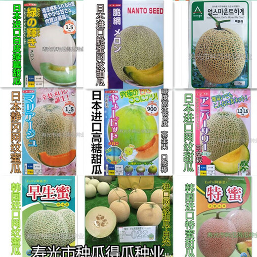 Japanese imported reticulated melon seeds, sweet watermelon, horn honey seeds, fruits, spring vegetable seeds, crispy honey reticulated melon seeds, 100 original pieces