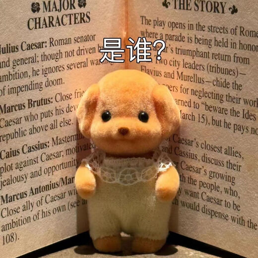 Internet celebrity's same style Senbelle Little Nose Ga Poodle Doll, high-looking doll ornaments as a gift for girls' girlfriends, Poodle with movable limbs, 2 pcs in gift box