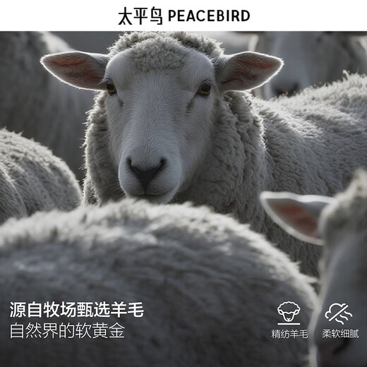 PEACEBIRD Men's Shopping Mall Same Style Coat Winter New Double-sided Wool Coat B1AAE4210 Black 1 M