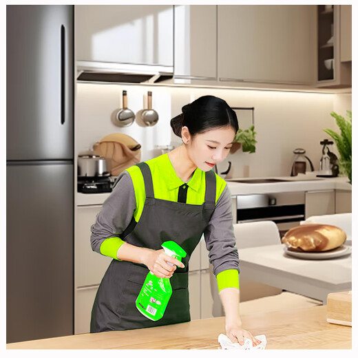 Housekeeping daily cleaning door-to-door service can be booked nationwide. Special offer for daily cleaning for 2 hours.