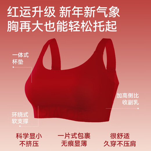 Catman plus size fat MM underwear set for the year of birth, big breasts appear small without steel rings, bride wedding big red bra 1 set - bra + underwear Lucky Red 2XL Recommended BCD cup/155-170Jin Jin equals 0.5 kg