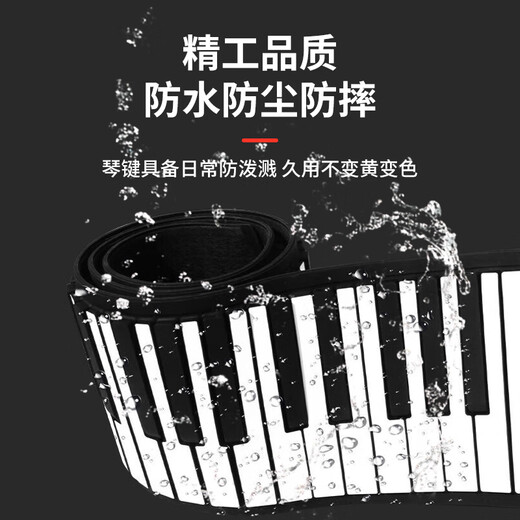 EVANLEY German hand-rolled piano portable 88-key Bluetooth professional version thickened arranger keyboard adult pocket electronic piano 88-key black standard version
