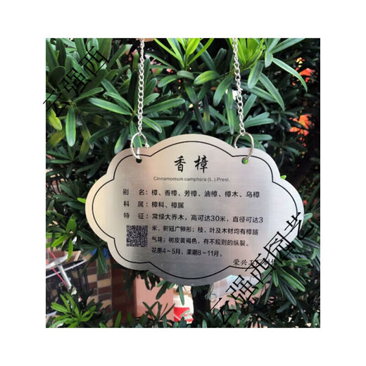 Stainless steel tree sign spring tension spring rope hanging chain stainless steel material can be retracted without damaging the tree sign sign customization stainless steel 0.8*20CM spring including one screw 0x0cm
