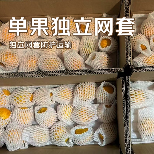 京觅 广西砂糖橘净重4斤 单果35-60mm 精品果沙糖桔 源头直发包邮