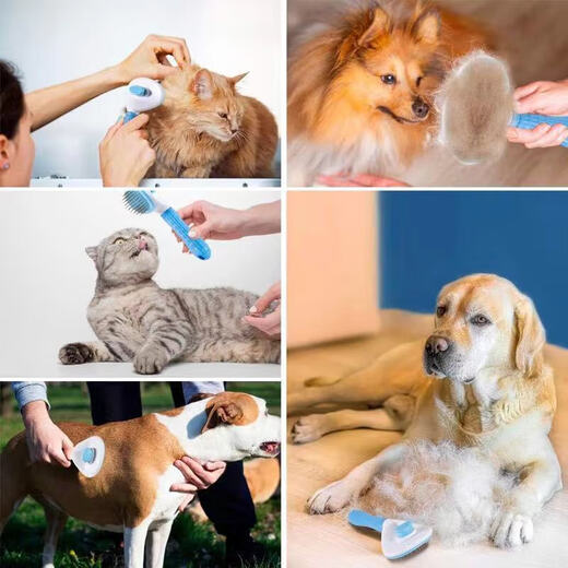 Cat and dog comb to remove floating hair artifact, pet-specific long hair cleaning comb to thin the lint and remove artifact, random color, one-click self-cleaning, protective beads