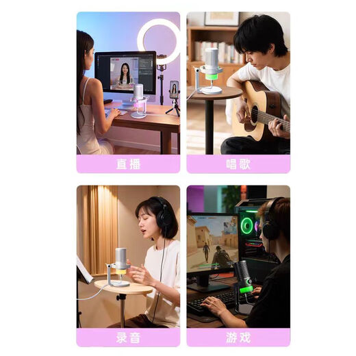 TAKSTAR GX3 computer microphone game noise reduction microphone live recording wired radio microphone usb mobile phone computer desktop laptop online class karaoke white official standard (SF Express)