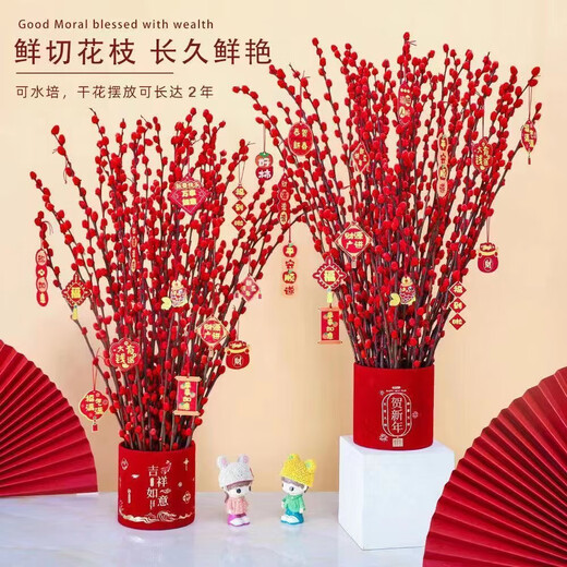 Silver willow real flowers, fresh branches, New Year's Eve flowers, red dried flowers, lucky bucket, silver willow, hydroponic plants, flowers, living room interior decoration, high-quality A-grade silver willow rose red 60cm, 20 branches + 2 small lanterns