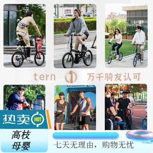 TERN Tern Verge D9 Folding Bike Adult Folding Bike Variable Speed Bike Folding Bike Silver Foil Color Upgraded Three Knife Classic Black-Concas Carbon