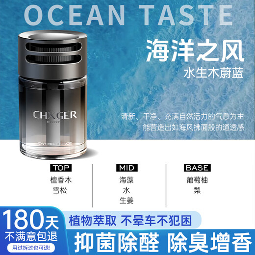 DOSCOO Car Aromatherapy 2025 Indoor Bedroom Long-lasting Toilet Special Wardrobe Men's High-end Perfume Women's Blue