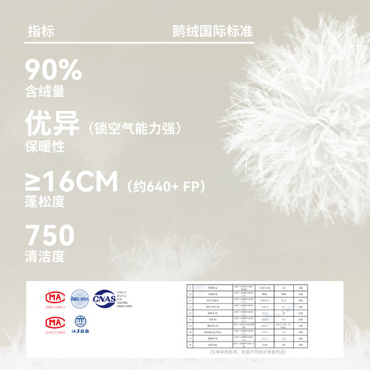 Flying in the Snow Down Pants Women's Autumn and Winter Elastic Waist Slim Fit Plus Velvet Pants Thickened Warm-proof Windproof and Cold-proof Foot-stepping Pants