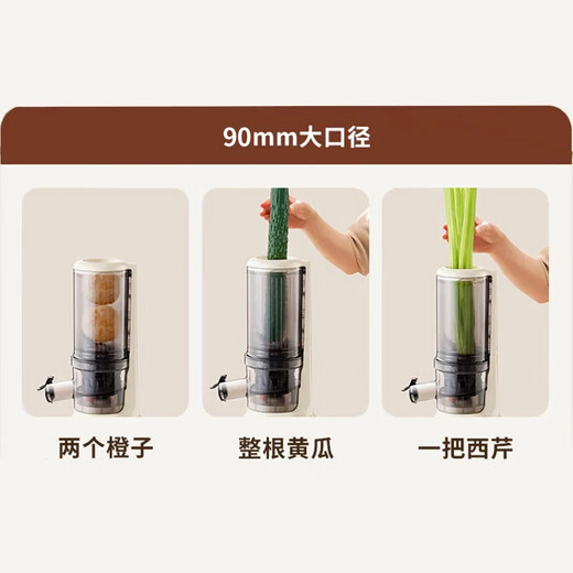 Joyoung Government Subsidy NFC Juicer Original Juicer Household Multifunctional Electric Ice Cream Machine Fully Automatic Cold Pressed Juice Fruit and Vegetable Machine Residue Juice Separator Z5-LZ550
