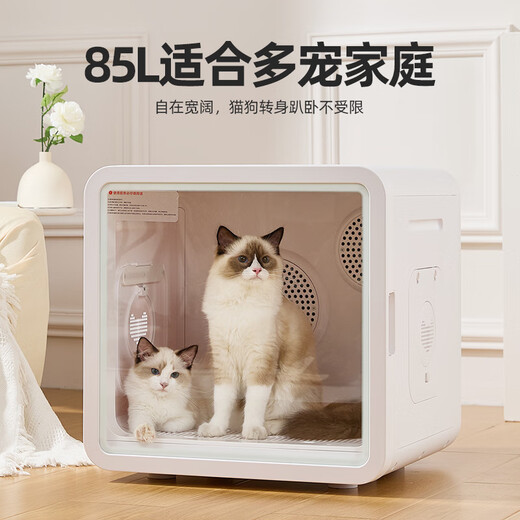 Youpet Intelligent Pet Drying Box Cat and Dog Drying Bath Dryer British Shorthair Maine Coon Shiba Inu Bichon Brush Water Medium Y7-Interactive Window Dual Motors Upgraded Model 1200W