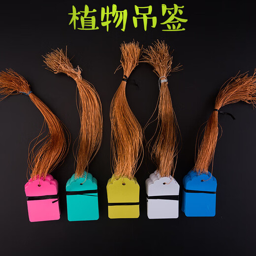 100 pieces of hang tags, plant signs, tree signs, classified color cards, plastic, waterproof, light-fast, non-fading P 5*7cm white, 100 pieces