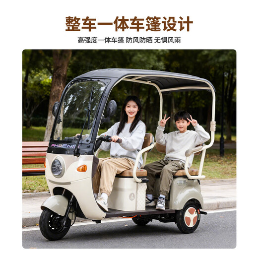 Phoenix Fengya electric tricycle household electric motorcycle adult electric vehicle small tricycle electric vehicle with shed Chaowei battery 800W power model + 60V20A lead-acid + battery life of about 42.5 kilometers