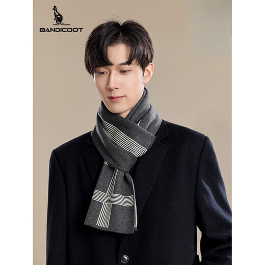 Kangaroo (DAISHU) men's scarf 2025 new winter outdoor warm wool containing fashion versatile business simple scarf for men pure gray