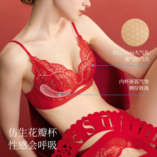 Suji Liangpin Little Rose Soft Support Underwear Women's New Year Red Gift Box Lace Set Sexy Small Breast Push-Up Bra New Year