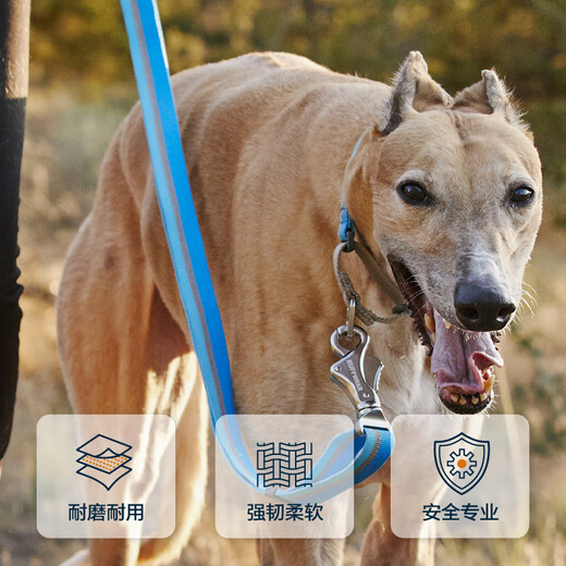 Ruffwell Ryan's webbing dog collar small dog ruffwear pet collar dog collar Shiba Inu dog collar collar River Rock Green XS