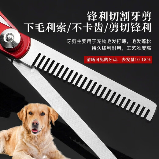 Tanizaki Pet Scissors, Teddy Dog Grooming Scissors, Grooming Tools, Trimming Shears, Golden Retriever Dog Hair Cutting Artifacts, Straight Shear + Curved Shear + Teeth Scissors + Bag + Steel Comb