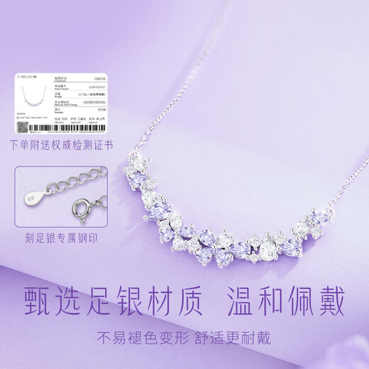 Zhen Shang Silver Necklace Women's Pendant 2025 New Birthday Gift Anniversary Niche Light Luxury High-end Sent to Girlfriend and Wife