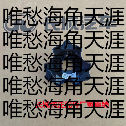 CLCEY Fenglin Iron Rider Camera Cover Protector Tank 300 Tank 500 Rear Spare Tire Camera Protection Authentic Original Black