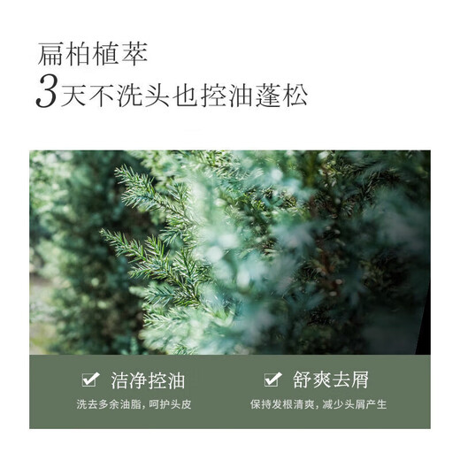 浅香洗发水沐浴露护发素套装大瓶家庭装蓬松控油去屑留香洗头膏男女士 扁柏 750g*1瓶 【赠62g旅行装】
