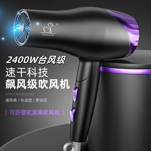 Xiaoya (XIAOYA) 2400W High Power Hair Dryer Negative Ion Hair Dryer Blue Light Hair Care Folding Hair Dryer Powerful High-Speed Hair Dryer King Top Edition Honor Purple + 2400W + Free Air Nozzle + Foldable 4.5 Billion Blue Light Ion Hair Care Typhoon Level Wind Movement