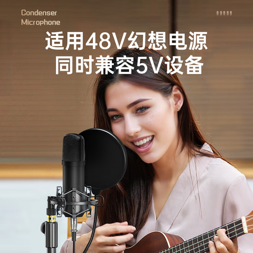 Wise Nation 48V/5V compatible microphone condenser professional live streaming game e-sports singing mobile phone microphone sound card computer karaoke special recording speaker recording equipment