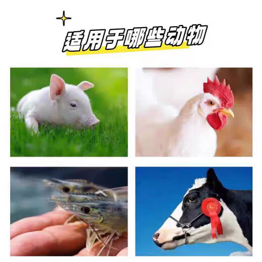 Bile acid veterinary feed additive for pigs, chickens, cattle and sheep aquatic products promotes fat metabolism, protects liver, protects gallbladder and treats fatty liver 25kg/generation Shandong Degao