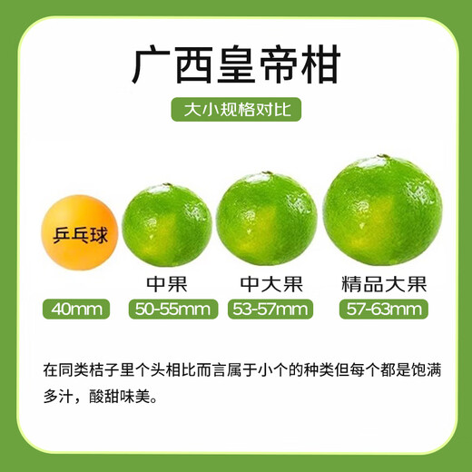 京鲜生 广西皇帝柑 贡柑 净重8斤 单果50mm+ 新鲜水果 源头直发包邮