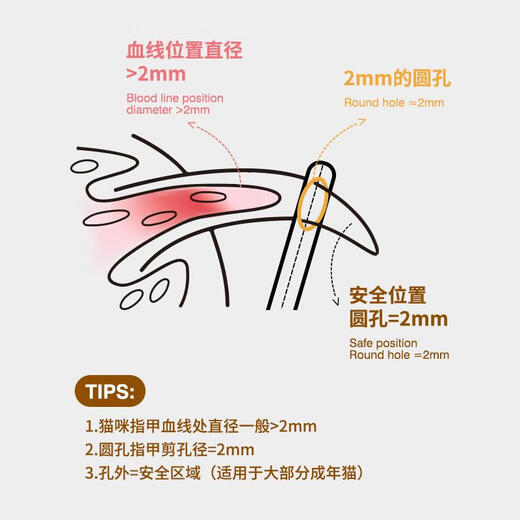 JCZS German brand cat nail clippers, special cat nail clippers, round hole cat nail clippers, nail clippers, novice scissors, hot-selling model, yellow bear, higher hardness, carefully polished 2mm, specially for cats